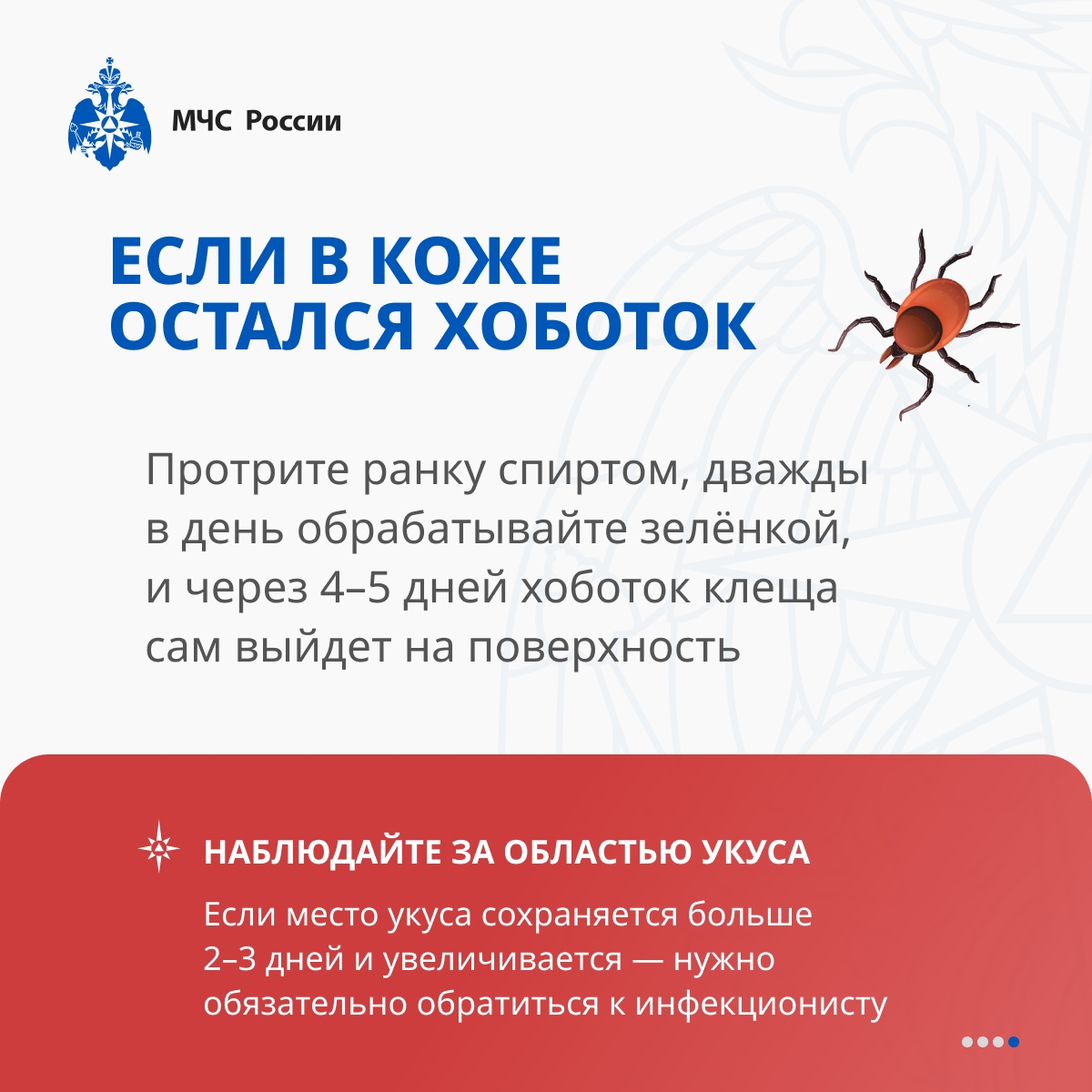ИНФО 87.png